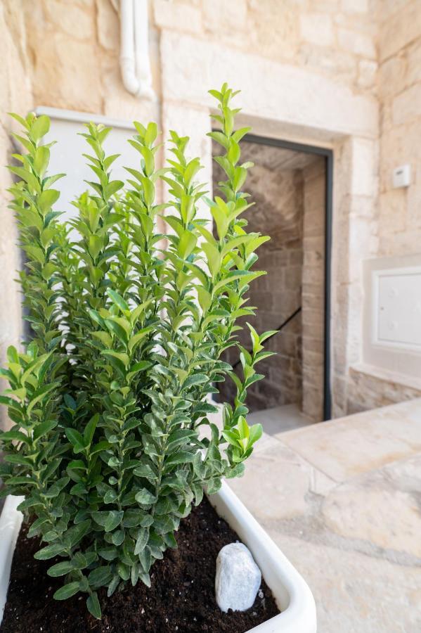 Piccola Pietra Bianca Hotel Giovinazzo Exterior foto